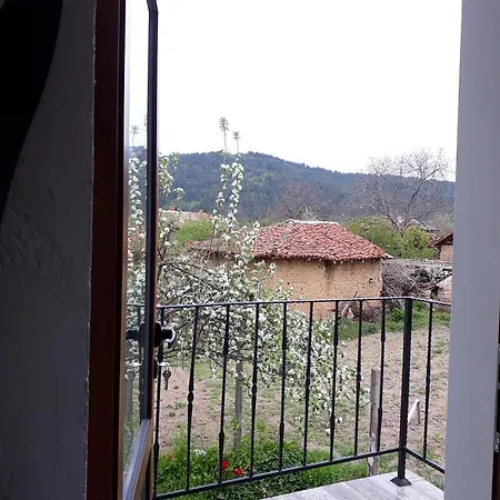 Popovi Koshari Vendégház Dolno Panicserevo